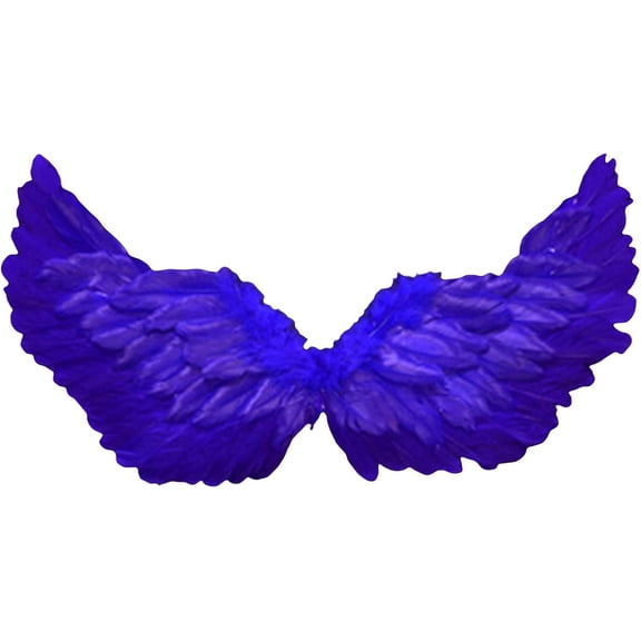 Fairy Wings Feather Wings with Elastic Straps Costume Photography Props Halloween Supplies, Costume Wingss, Accessories for Theme Party, Christmas Costume