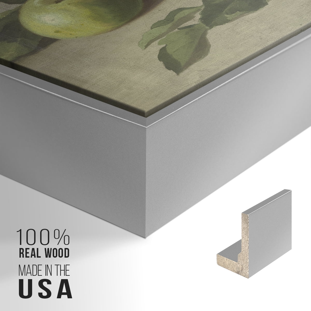 Vintage Botanical Print-LXXXVI By Wexford Home Framed in Silver Wood Gallery Wrapped Canvas 27 in. x 41 in.