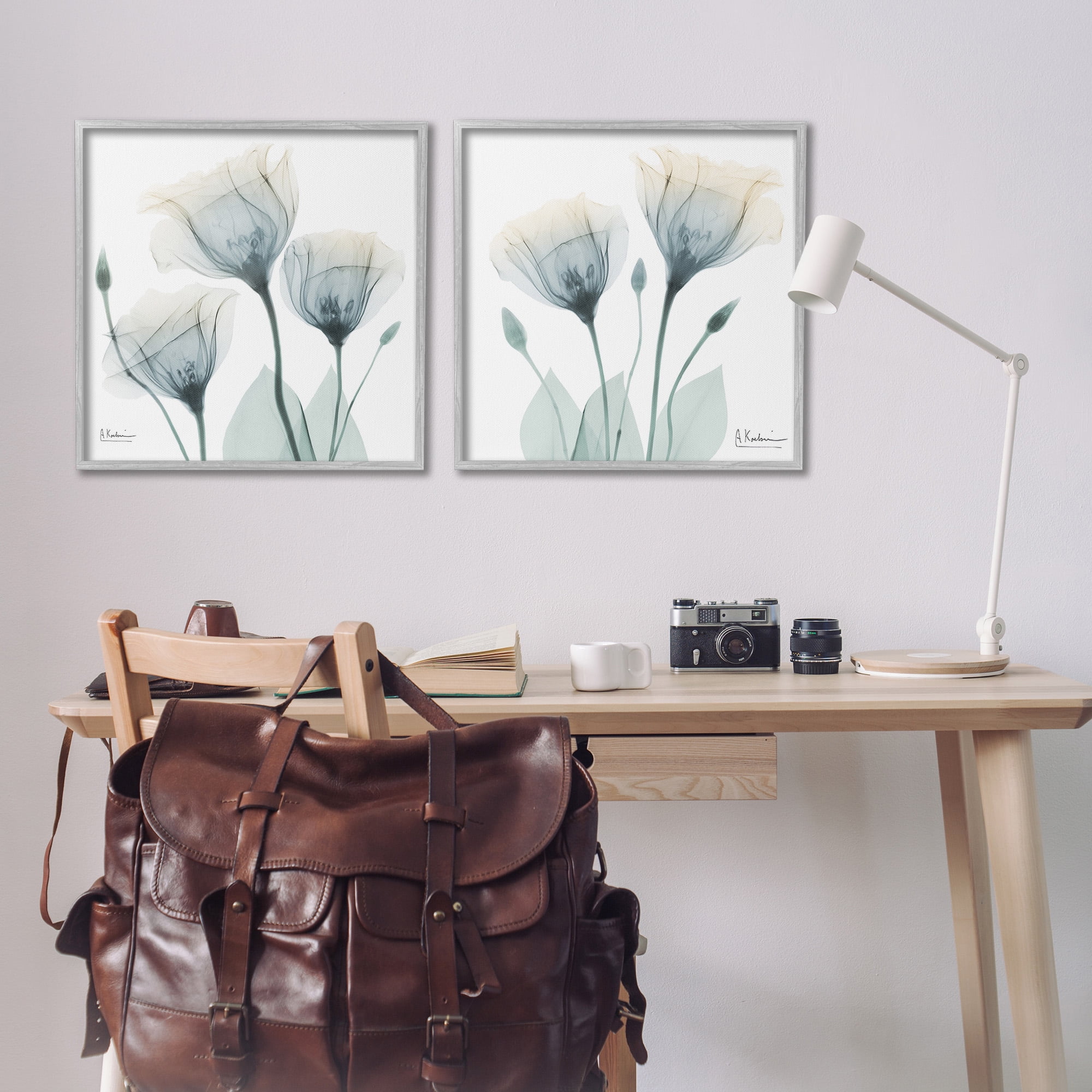 Stupell Industries Budding Opaque Tulips Botanical & Floral Photography Gray Framed Art Print Wall Art, 24 x 24, Set of 2