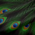 thumbnail image 5 of Peacock King Funda Nórdica Funda nórdica de plumas de pavo real para niños Niños Niñas Adolescentes, 5 of 5