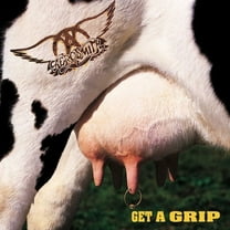 Aerosmith - Get A Grip - Music & Performance - Vinyl