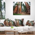 thumbnail image 3 of Designart Three Large Sequoya Trees - African Landscape Printed Throw Pillow - 16x16, 3 of 4