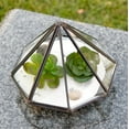 thumbnail image 3 of WGV Black Diamond Geometric Glass Terrarium - 5" Wide x 6" Height, Good quality Terrarium - 1 Pc, 3 of 9