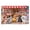 500 PCS, variant on 500 Piece Dogs Puppy Educational Puzzle for Adults – Indoor Mind-Relaxing Jigsaw, Skill-Building Activity, Family-Friendly Fun