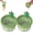 Green, variant on Cactus Sink Strainer Basket, Press to Dump Kitchen Sink Waste Collector Filter with Creative Cactus Design
