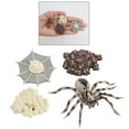 thumbnail image 4 of Life of a Includes Egg, Larva, ling, and For Ages 4 +, 4 of 7