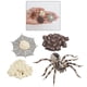 thumbnail image 4 of Ciclo de simulación Animal modelo Mini Bug ciclo de plástico salón de clases enseñanza juguete Sunnimix Juego de crecimiento de insectos para niños, 4 of 7