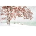 thumbnail image 2 of Eisenmann, Ulrike 24x17 White Modern Wood Framed Museum Art Print Titled - Snow at the lake, 2 of 4