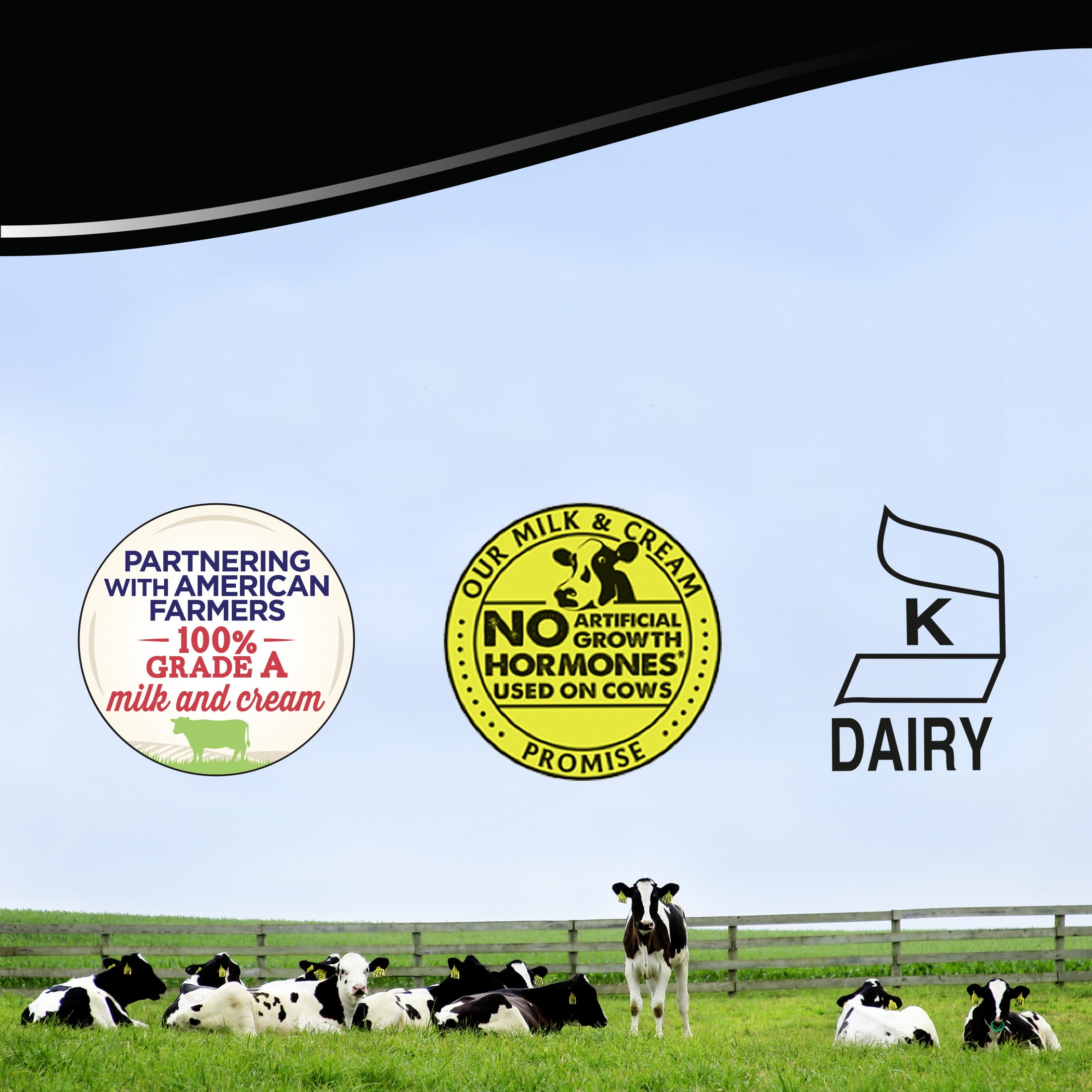 Buy Breyers Light Ice Cream SNICKERS 48 oz Online at Lowest Price in