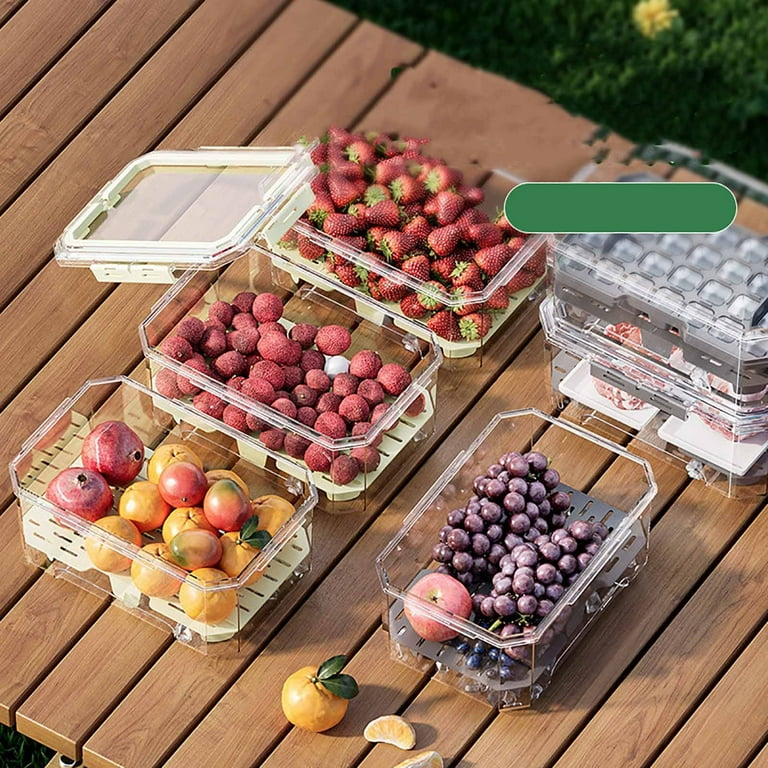 Ice Chilled Snackle Box Container Portable Cooler Box with Lids