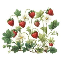 Strawberry Plants Wall Stickers Kitchen Dining Room Decor Removable Decals Vinyl Peel and Stick 14.5x17.3inch