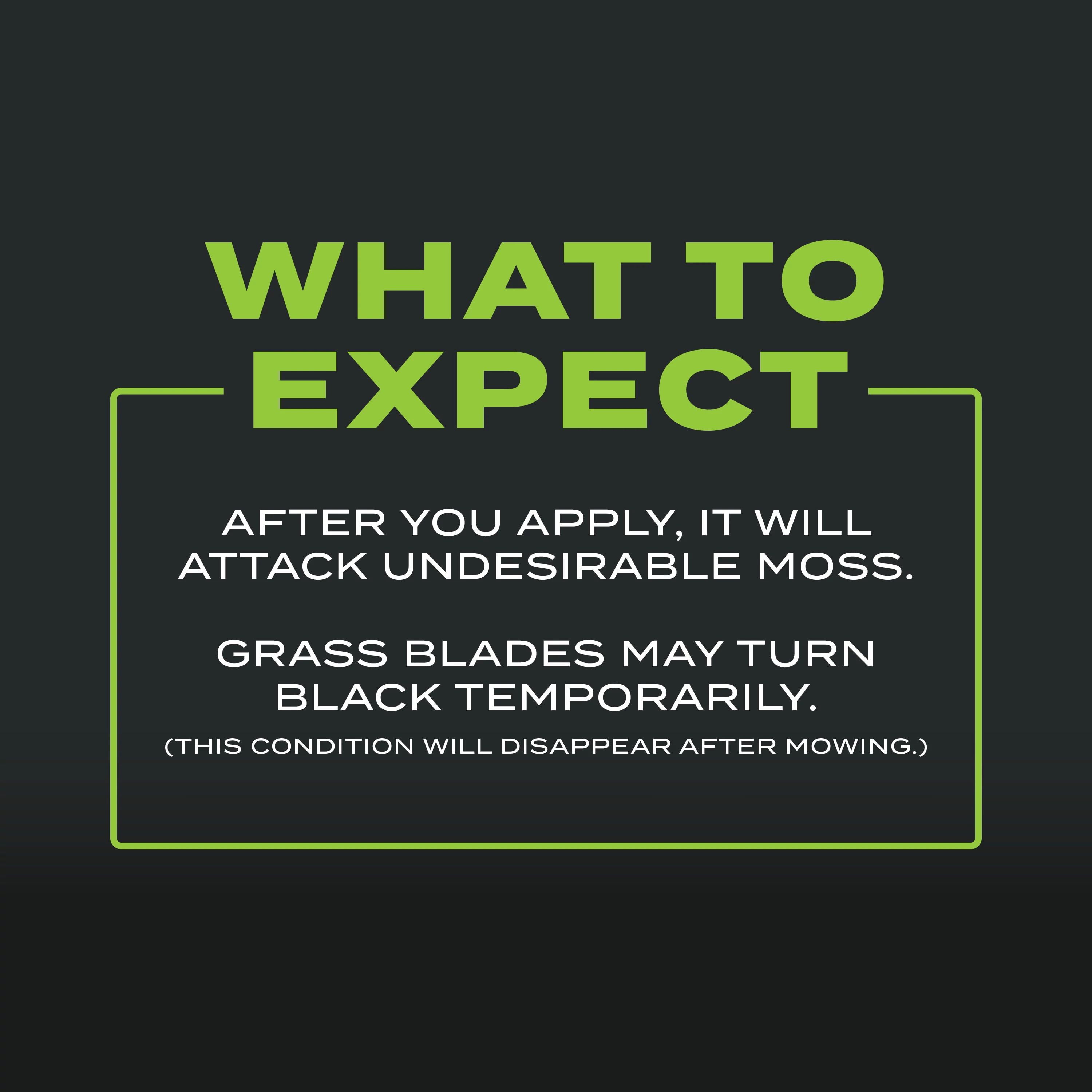 SCOTTS TURF BLDR TRPLE ACTION MOSS