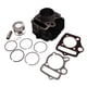 thumbnail image 1 of CILINDRO CON PISTON SET IT FT 110 (10-16), 1 of 2