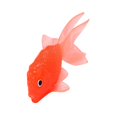 thumbnail image 1 of 5 piezas de peces de colores flotantes de simulación de 14,5 cm, juguete de pesca para niños con TPR suave translúcido, 1 of 5