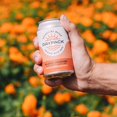 thumbnail image 3 of YBQF DayPack Sparkling Hop Water - 12-Pack of Blood Orange Flavored Seltzer - Zero-Calorie, Zero-Carbs - Natural Ingredients For A Great Tasting Drink - 12 Fl Oz Cans, 3 of 5