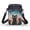Cat, variant on HELLHERO Double Deck Crossbody Small Crossbody Bags for Adults Outdoor Holiday Travel Sling Bag Polyester 4.33"x1.97"x7.09" Skulls Daisies