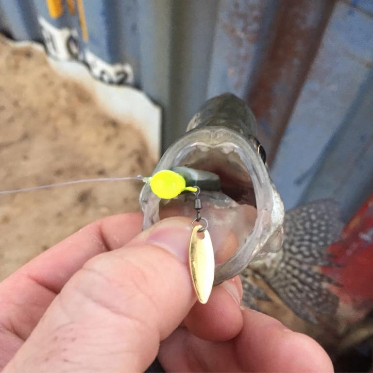 fish commander lures Naze Baits 7" RATTLE Livid Team Rhino Outdoors LLC These bodies are designed to work with our Double Cross jig heads Fin Commander Fin Spin Jig