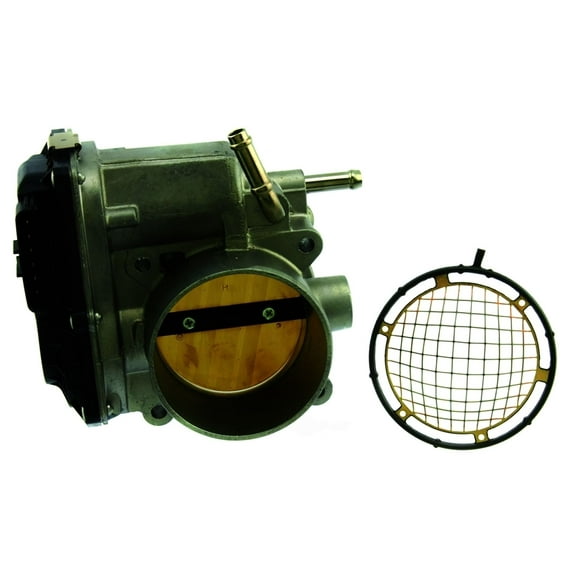 Fuel Injection Throttle Body