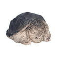 thumbnail image 2 of Estatua de tortuga mordedora en miniatura, adorno de té para mascotas, arcilla púrpura hecha a mano, estatuilla de mascota para té para sala de estar, BLESIY Figura de tortuga mordedora, 2 of 8
