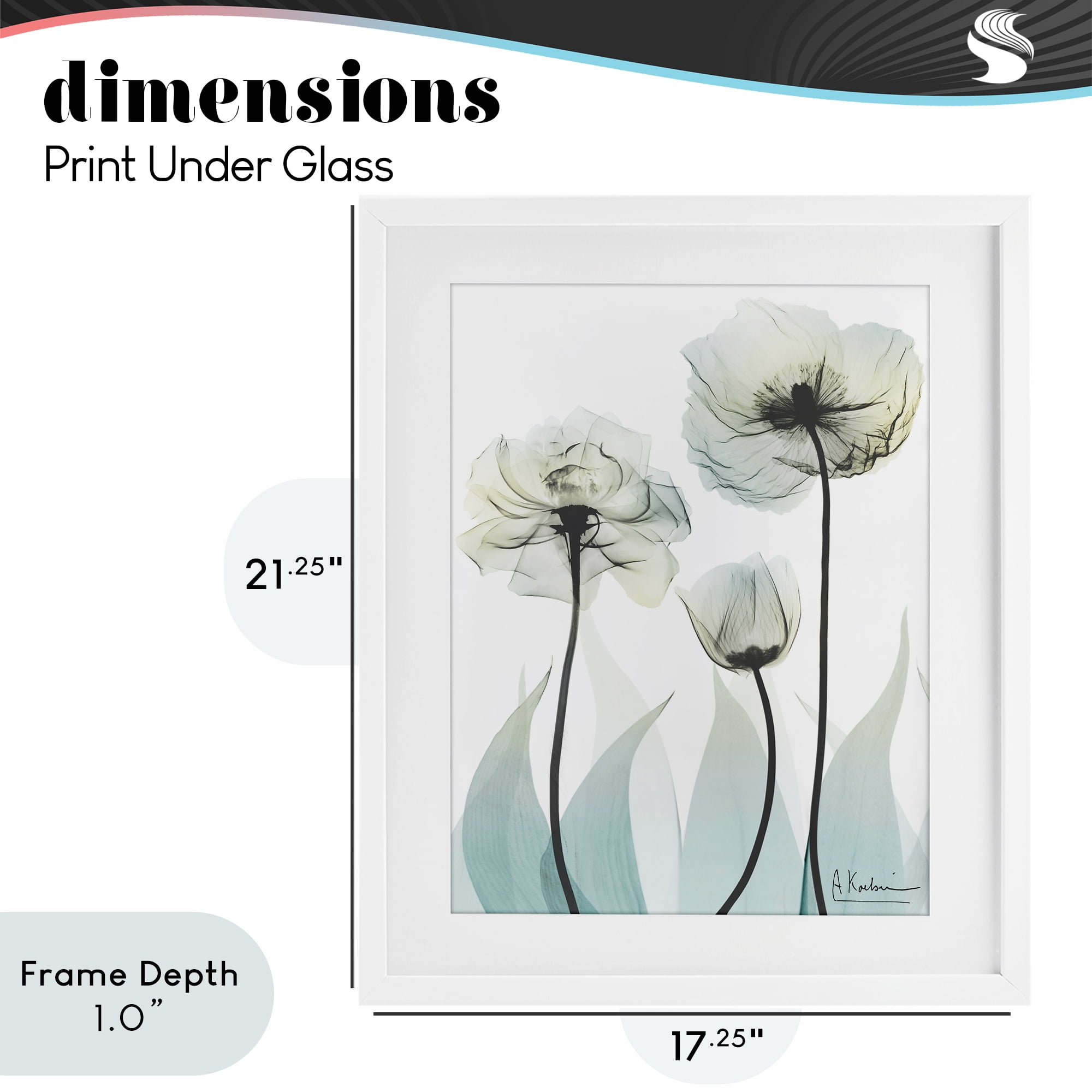 Stupell Industries Luxury Of Creation White Framed Print Under Glass, design by Albert Koetsier