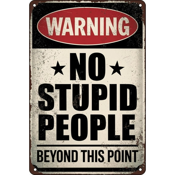 Vintage Metal Tin，Warning No Stupid People Beyond This Point Metal Sign Humorous Wall Art for Home Office Man Cave Garage Bar Patio Kitchen and Living Room 8x12 Inch，tin sign