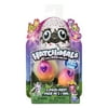 Hatchimals CollEGGtibles, 2 Pack + Nest with Season 4 Hatchimals CollEGGtible, for Ages 5 and Up (Styles and Colors May Vary)