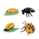 thumbnail image 3 of Figuras de ciclo de vida de animales, figuras de acción de vida educativas, figuras de jardín DIY, materiales de enseñanza para niños de 3, 4, 5, 6 y, 3 of 10