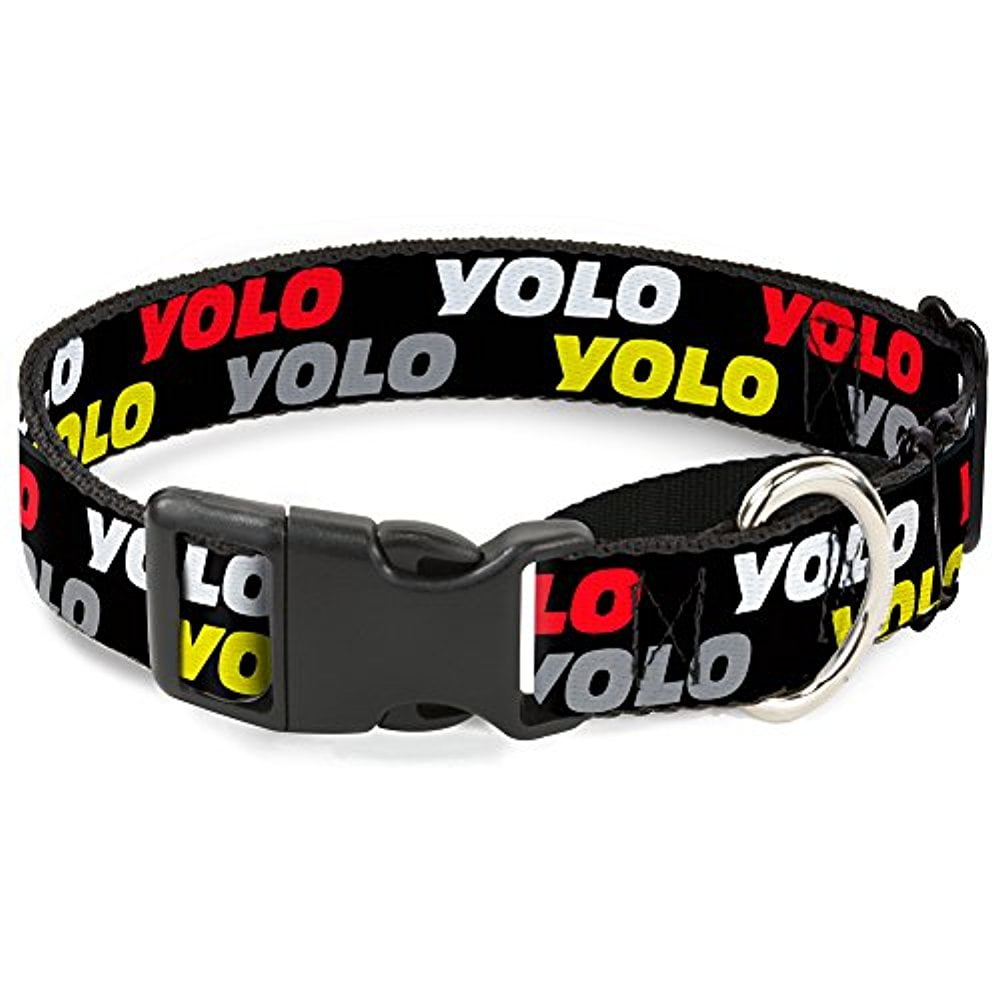 buckle-down yolo2 black red white gray yellow martingale dog collar