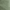 Green Artichoke, variant on George Men's and Big Men's Pull On Shorts, 8" Inseam, Sizes S-3XL