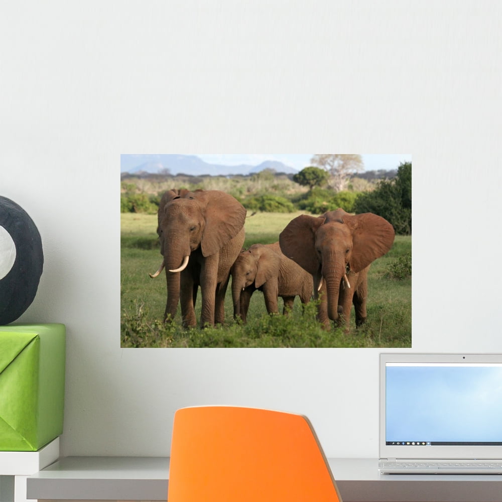 African Elephants Wall Mural by Wallmonkeys Peel and Stick Graphic (18