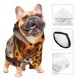 thumbnail image 3 of Balery Cartoon Cheetah With Attitude Sudadera con Capucha para Perros Pequeños – Ropa para Mascotas, Disfraz para Perros y Gatos, Ideal para Fiestas y Cosplay-XX-Large, 3 of 7