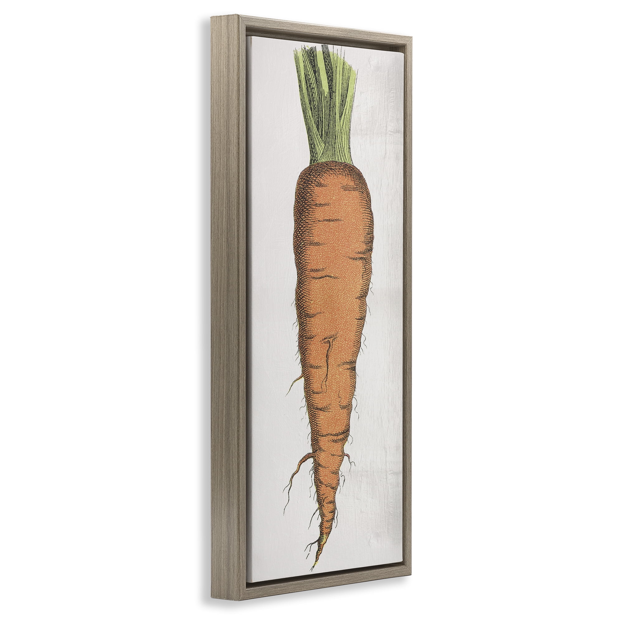 Stupell Industries Detailed Carrot Study Food & Beverage Painting Brown Floater Framed Canvas Art Print Wall Art, 14 x 31