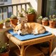 thumbnail image 5 of Alfombrilla refrescante para perros y gatos, lavable, con base antideslizante, almohadilla de hielo portátil para aliviar el calor, múltiples tamaños, uso en interiores y exteriores., 5 of 6