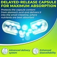 thumbnail image 3 of Vegan Probiotics with Digestive Enzymes & Prebiotic for Women & Men's Gut Health, Supplements Studio, 3 of 7
