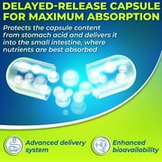 Vegan Probiotics with Digestive Enzymes & Prebiotic for Women & Mens Gut Health, Supplements Studio