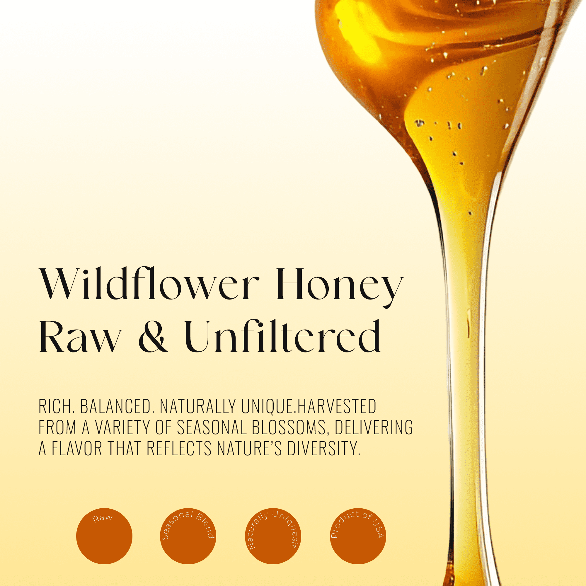 6 Packs of Wildflower Honey - 100% Natural Honey (12 Oz Each)