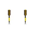 thumbnail image 2 of Seitruly Mango de Peine rizado Secado por soplado Curling Hairstyling Roller Cepillo fino Salón Accesorios de belleza Herramientas de viaje para Tipo 3 2piezas Seitruly CBP184968, 2 of 6
