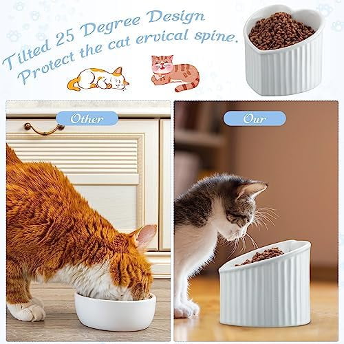 2 Pcs Ceramic Elevated Cat Bowls Tilted Elevated Raised Pet Bowls Anti Vomit Cat Dish for Indoor Stress Free Water Dish Feeder for Puppies, Heart Shaped(Pearly White)