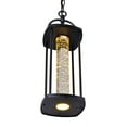 thumbnail image 2 of CWI Lighting Greenwood LED Outdoor Black Pendant, 2 of 5