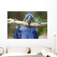 thumbnail image 1 of Hyacinth Macaw Playing Tree Wall Mural by Wallmonkeys Peel and Stick Graphic (48 in W x 33 in H) WM262843, 1 of 4