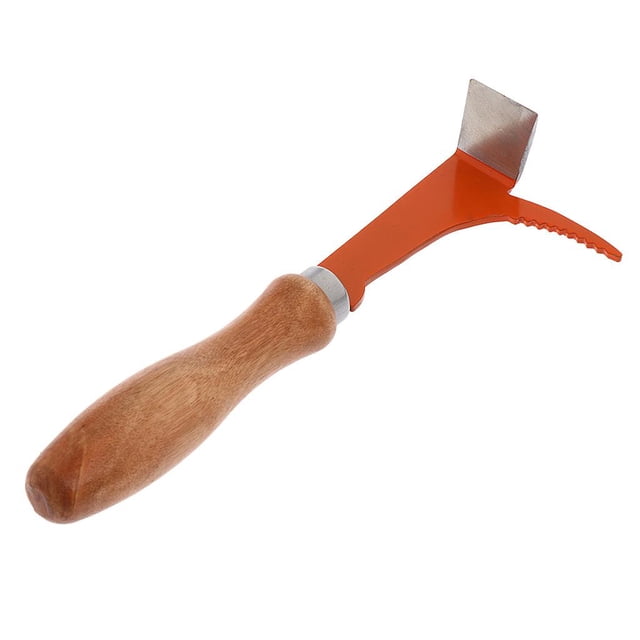 Limpiador de colmena Herramienta para destapar de de colmena de abejas / acero inoxidable shamjiam Bee Hive Scraper Tool