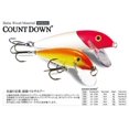 thumbnail image 2 of CountDown Lure, 2 of 4