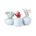 thumbnail image 1 of IMAX 23416-3 Sedna Ceramic Jars with Coral Lids - Set of 3, 1 of 1