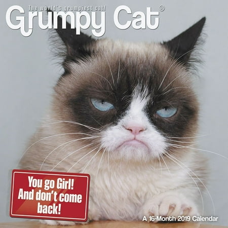  2020  Grumpy Cat  2020  Mini Wall Calendar Funny  Cats  by 