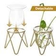 thumbnail image 4 of CTIRCHIU Clear Glass Planter Vase with Metal Stand for Home Decor 2Pcs, 4 of 10