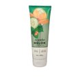 thumbnail image 1 of Bath & Body Works Ultra Shea Cream Pepino Melón 8 oz, 1 of 5