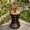 Black + Teak, variant on Christopher Knight Home Large Outdoor Side Table, Woven Rope Patio End Table, Dark Gray + Teak