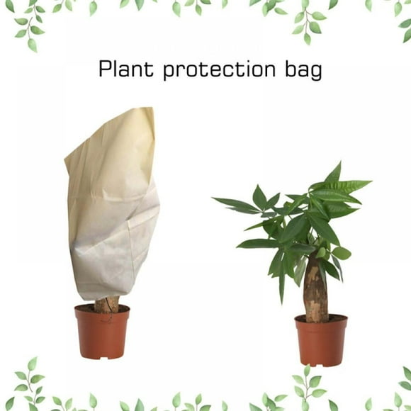 MesaSe Housse de Protection pour Plantes d'Hiver en PVC Tissu Non Tissé Végétation Antigel Housse contre le Froid Sac pour Plantes