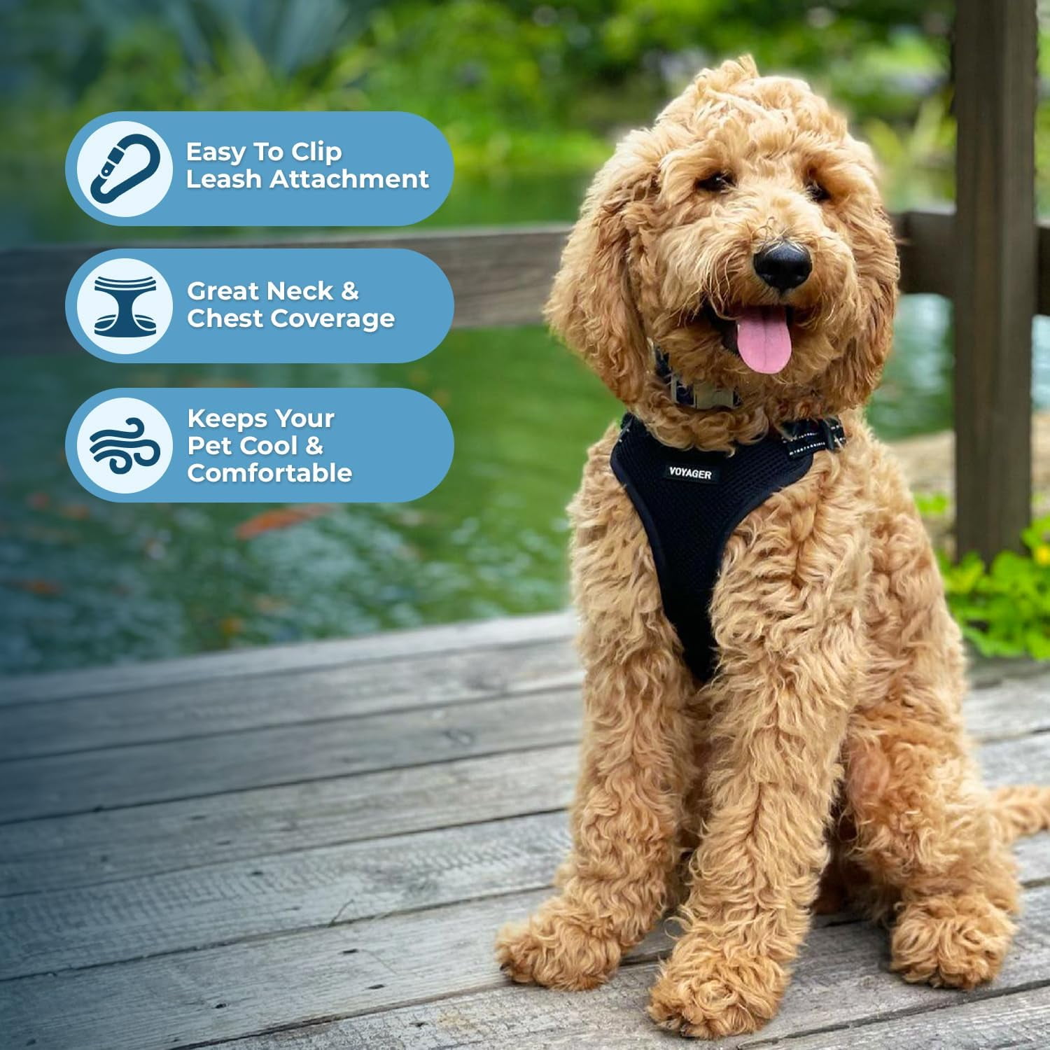 Best Pet Supplies Voyager Step-In Flex Adjustable Mesh Dog Harness