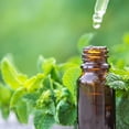 thumbnail image 5 of Earthborn Elements Peppermint Leaf 200 Capsules, Pure & Undiluted, No Additives, 5 of 7
